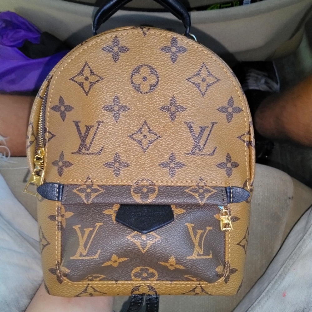 Louis Vuitton mini pack pack